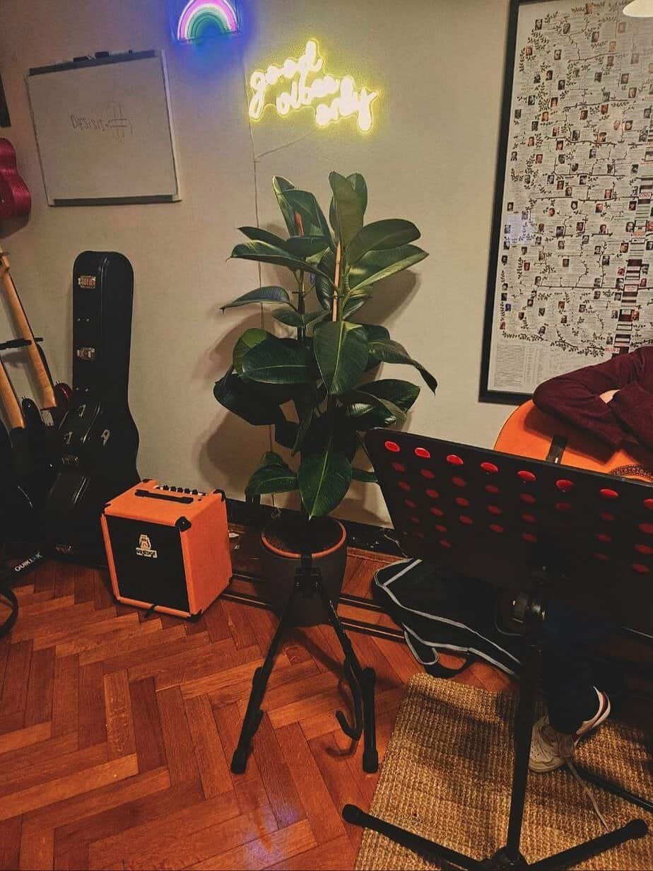 Angolo lezioni dello studio con leggio, amplificatore e pianta